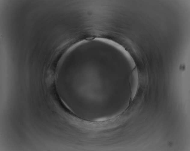 X0000101090043200807171858