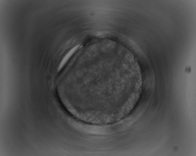 X0000101090044200807171858