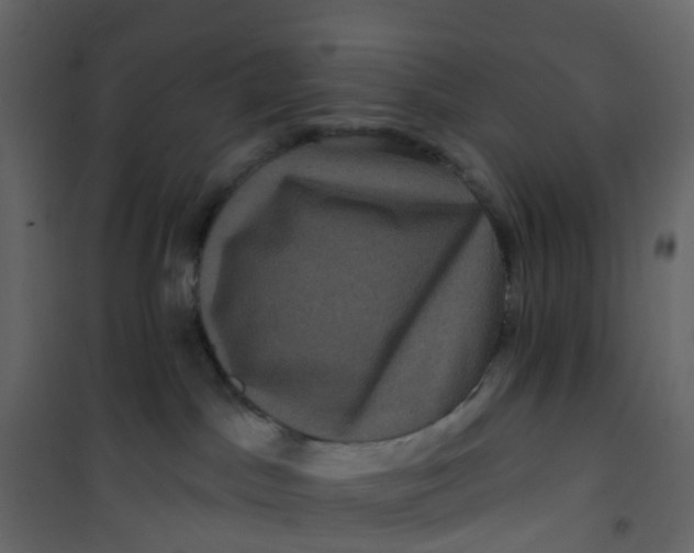 X0000101090045200807171858