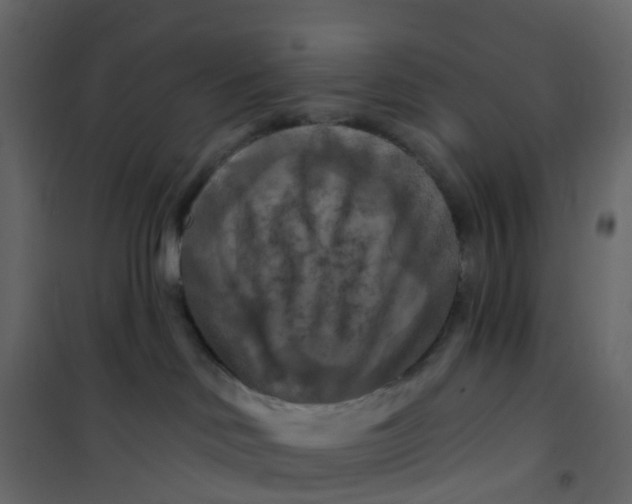 X0000101090046200807171858