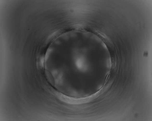 X0000101090047200807171858