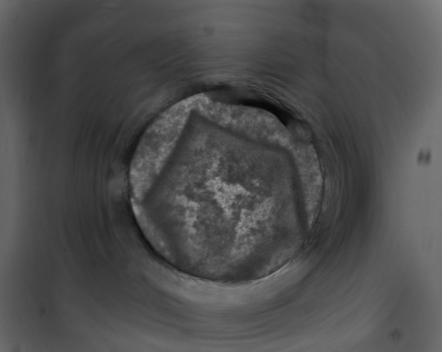 X0000101090048200807171858