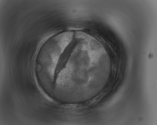 X0000101090049200807171857