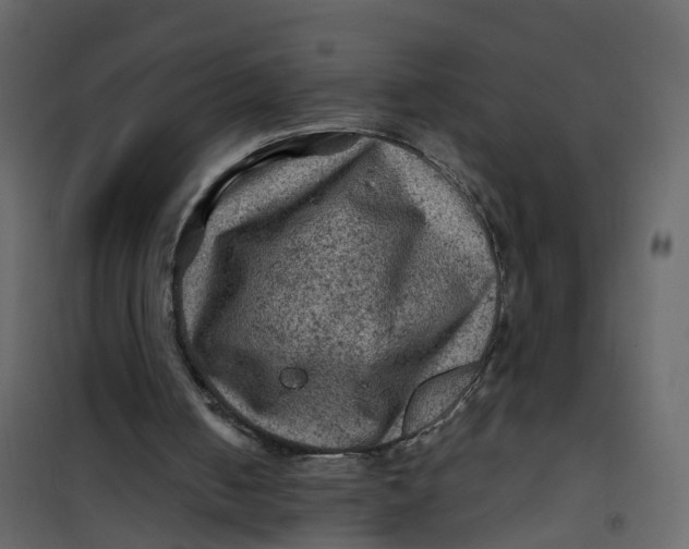 X0000101090050200807171857