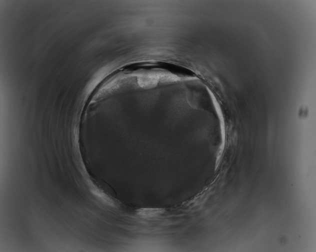 X0000101090051200807171857