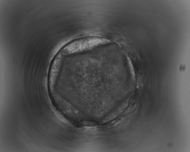 X0000101090052200807171857