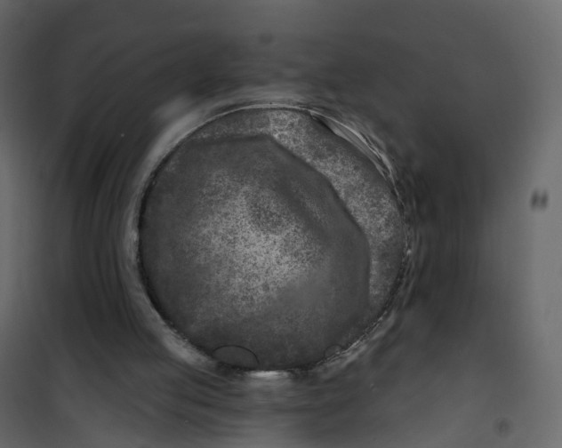 X0000101090053200807171858