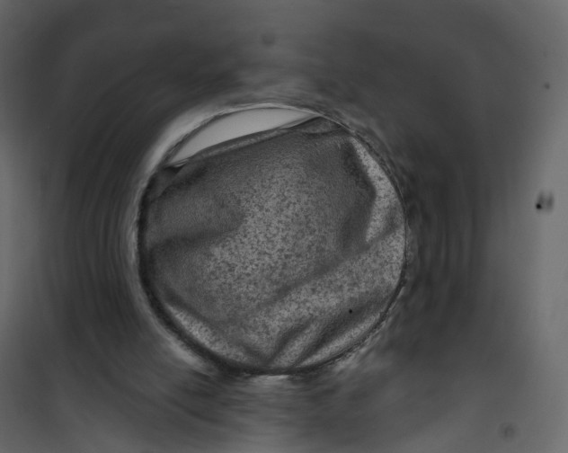 X0000101090054200807171858