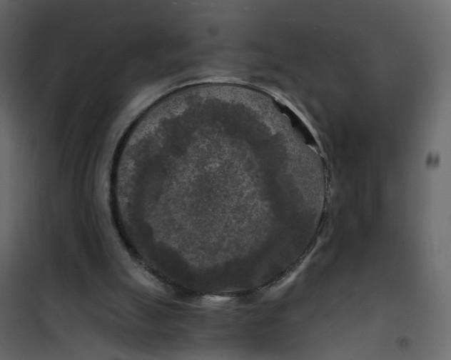 X0000101090055200807171858