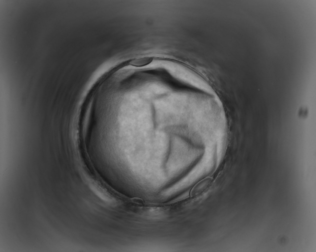 X0000101090056200807171858