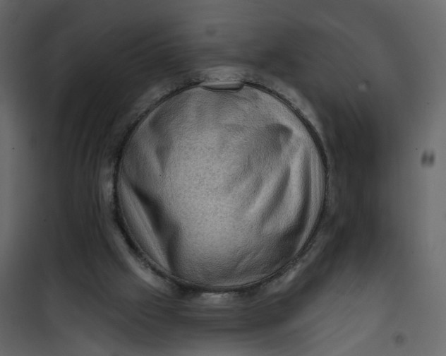 X0000101090057200807171858