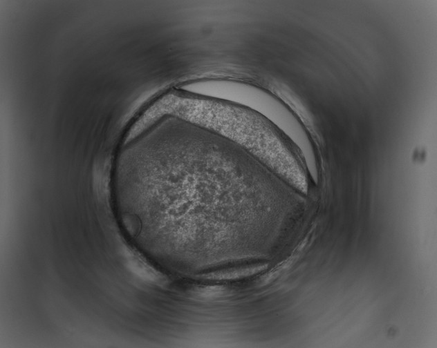 X0000101090058200807171858