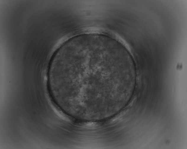 X0000101090059200807171858