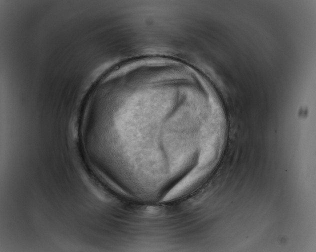 X0000101090060200807171858