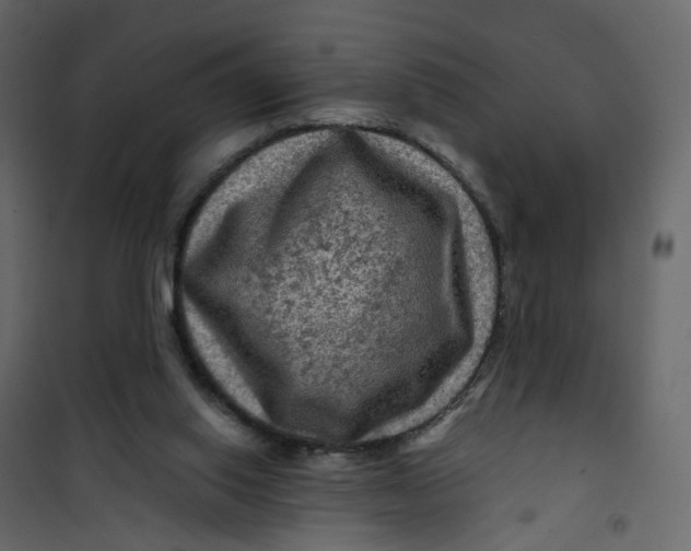 X0000101090062200807171858