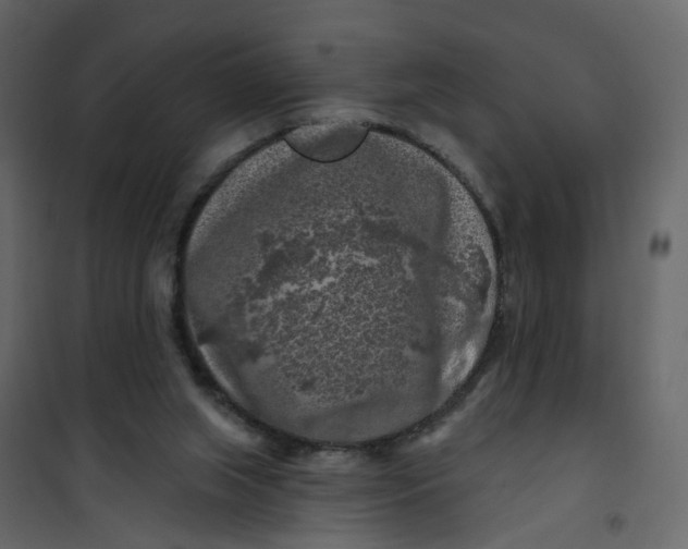 X0000101090063200807171858