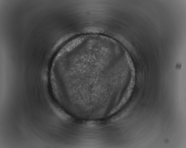 X0000101090064200807171858