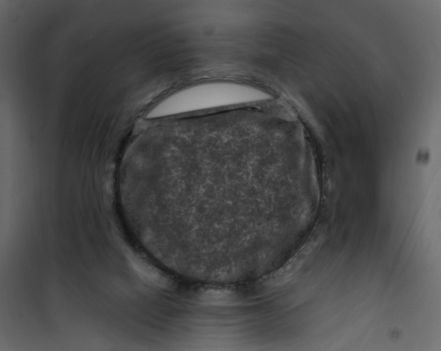 X0000101090066200807171858