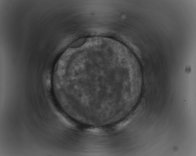 X0000101090067200807171858