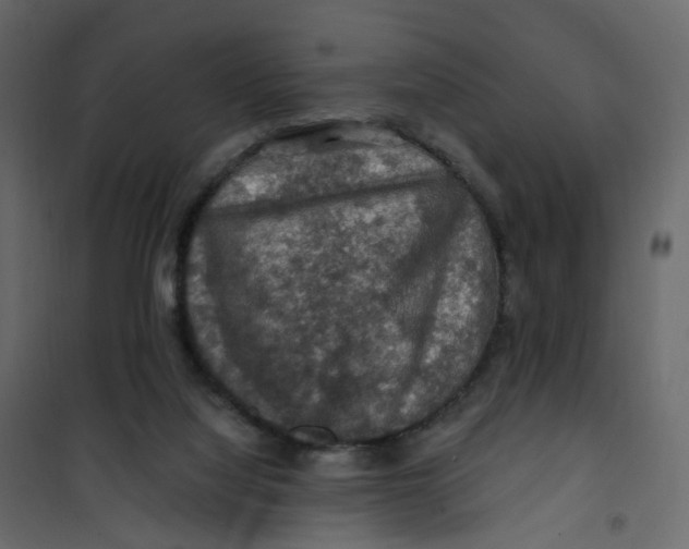 X0000101090068200807171858