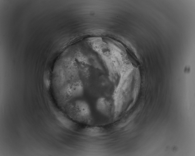 X0000101090069200807171858