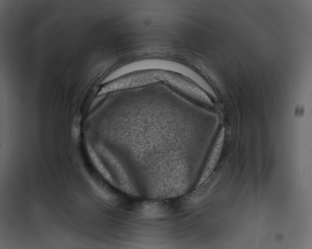 X0000101090070200807171858