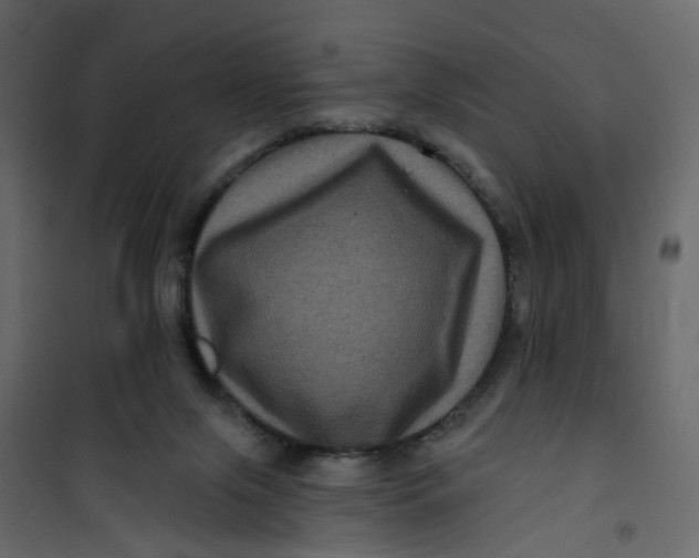 X0000101090071200807171858