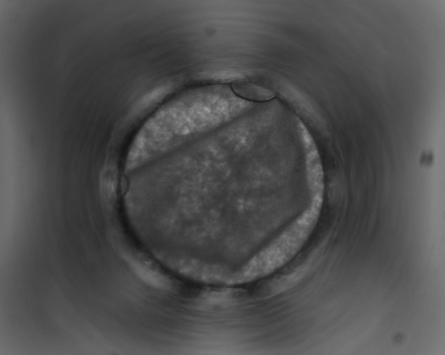 X0000101090072200807171858