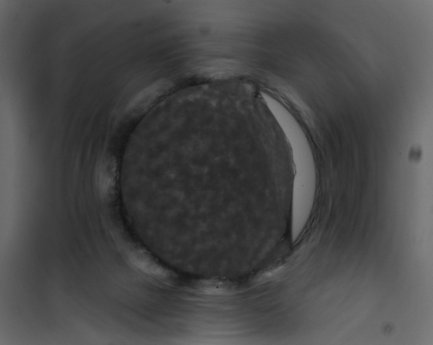 X0000101090073200807171858