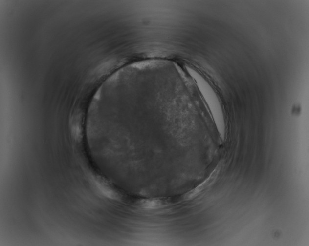 X0000101090074200807171858