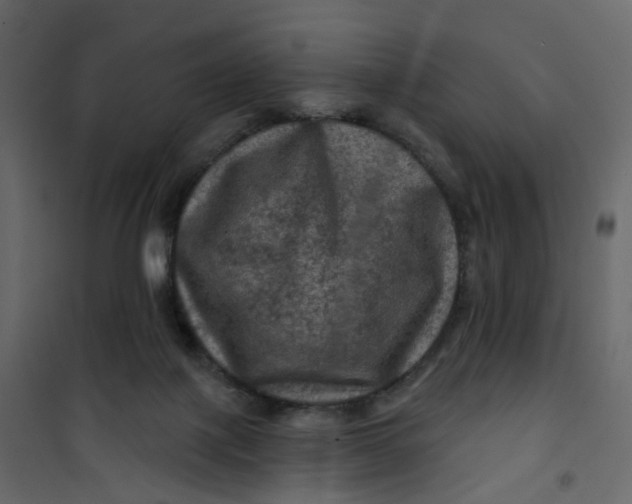 X0000101090075200807171858