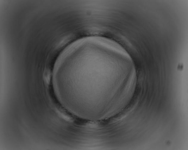 X0000101090076200807171858