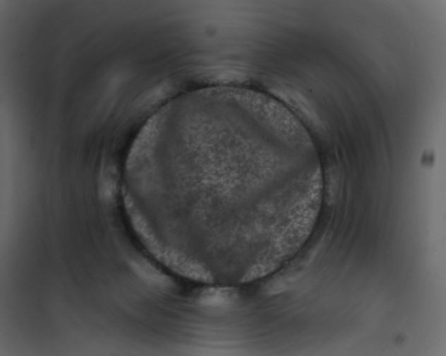 X0000101090077200807171858