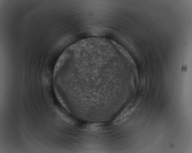 X0000101090078200807171858