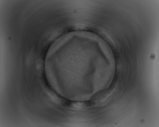 X0000101090079200807171858