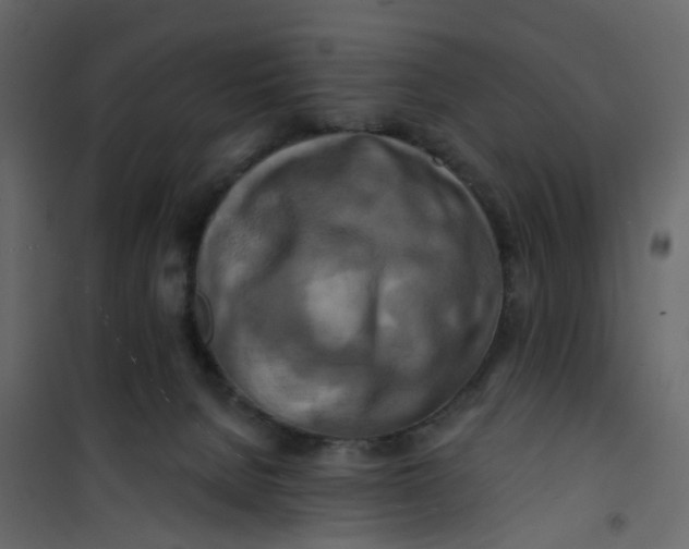 X0000101090080200807171858