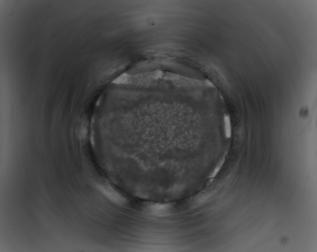 X0000101090081200807171858