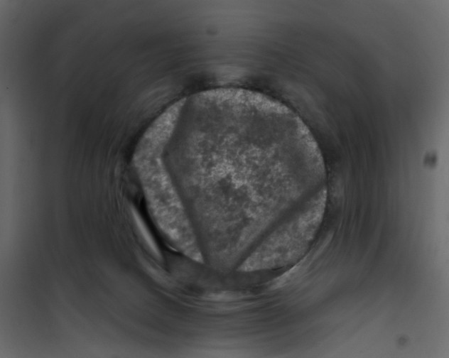 X0000101090082200807171858