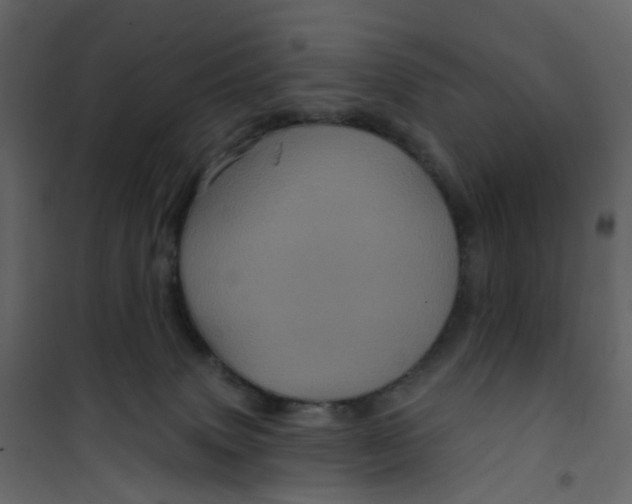 X0000101090083200807171858