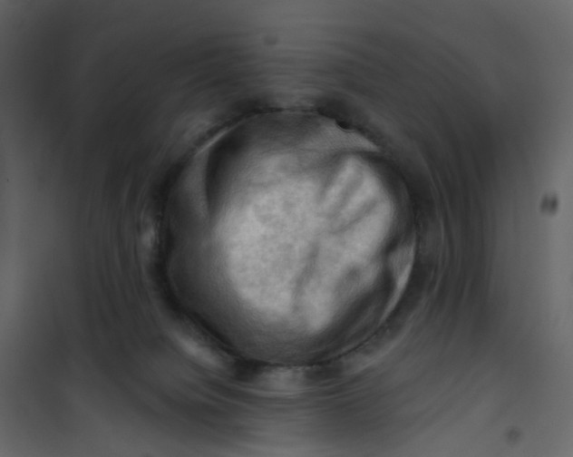 X0000101090084200807171858