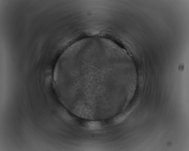 X0000101090085200807171858