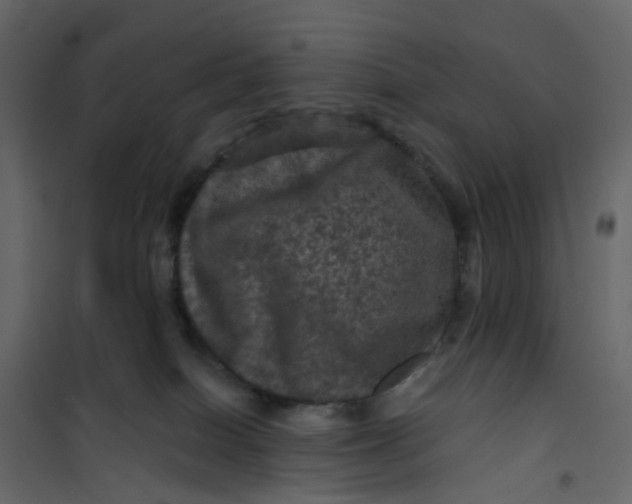 X0000101090086200807171858