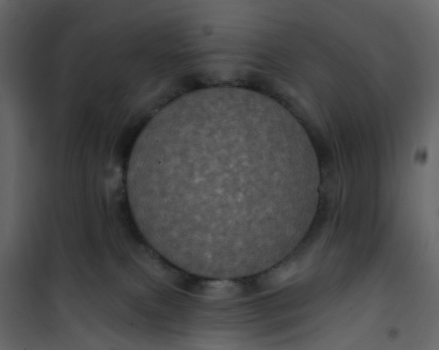 X0000101090087200807171858