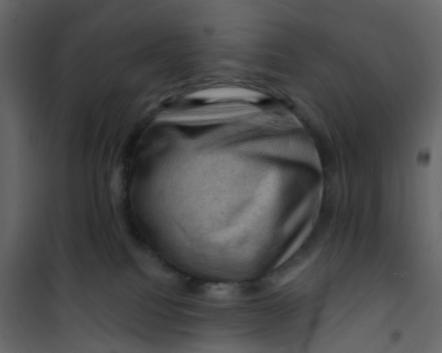 X0000101090088200807171858