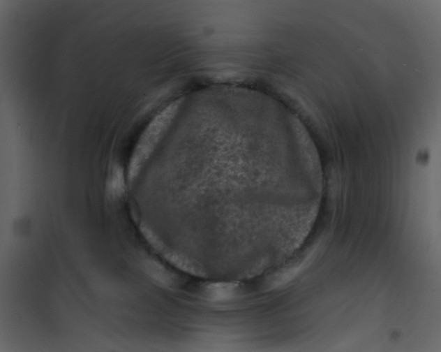 X0000101090089200807171858