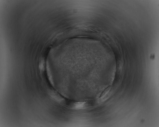 X0000101090090200807171858