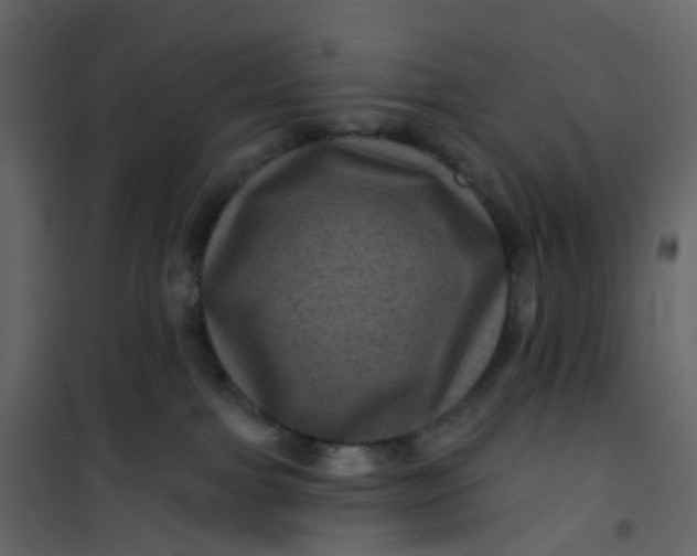 X0000101090091200807171858