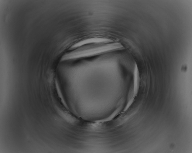 X0000101090092200807171858