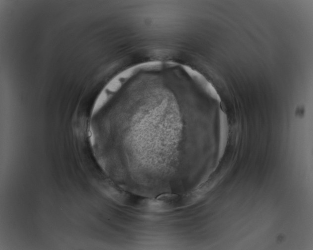 X0000101090093200807171858