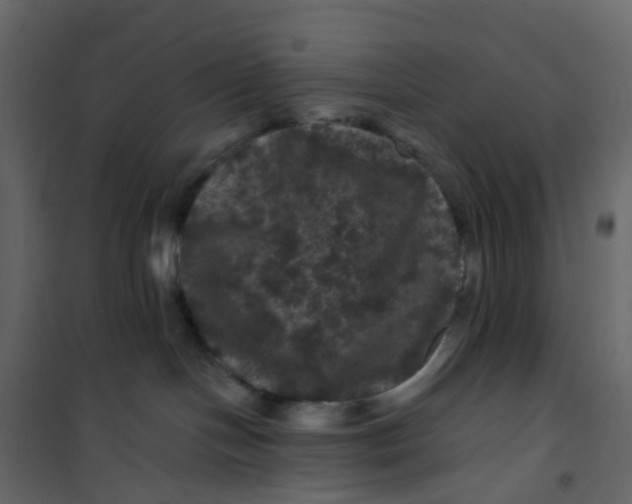 X0000101090094200807171858